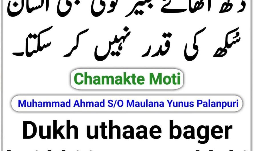 Dukh uthae bager koi bhi…