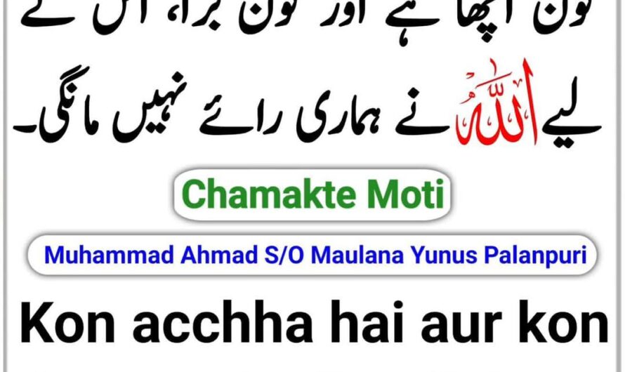 Kon acchha hai aur kon bura…