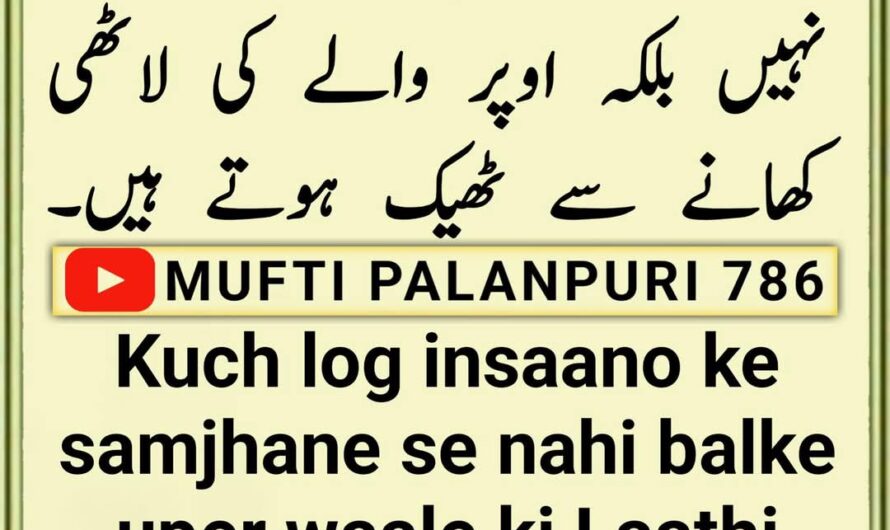 Kuch log insaano ke…