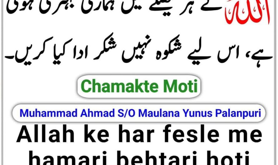 Allah ke har fesle me…