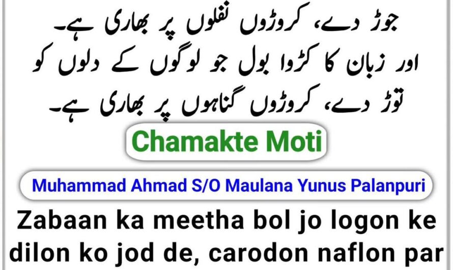 Zabaan ka meetha bol jo logon…