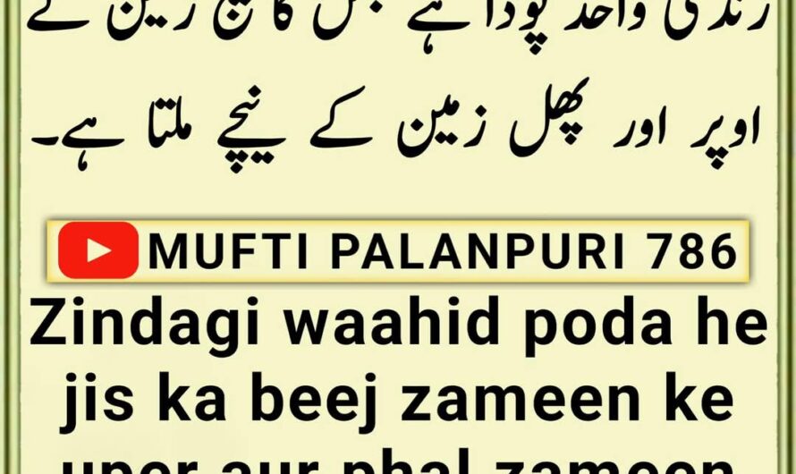 Zindagi waahid poda he…