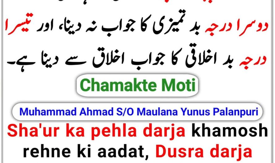 Sha’ur ka pehla darja…