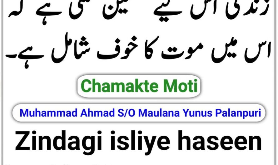 Zindagi isliye haseen lagti…