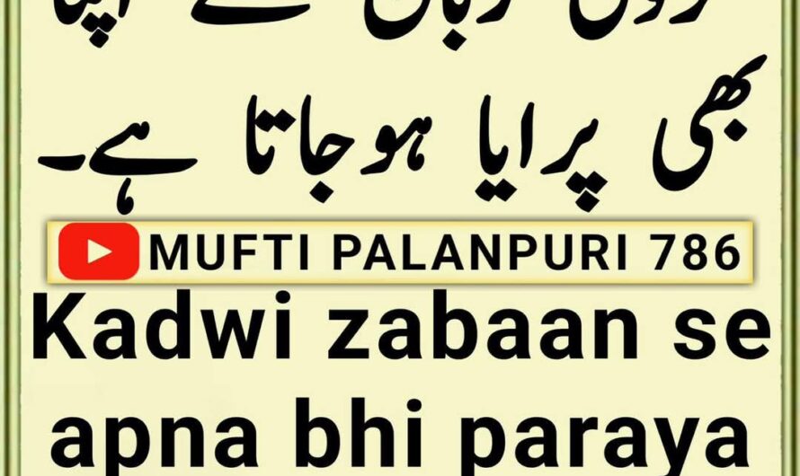 Kadwi zabaan se…