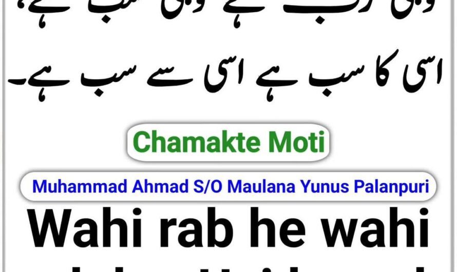 Wahi rab hai…