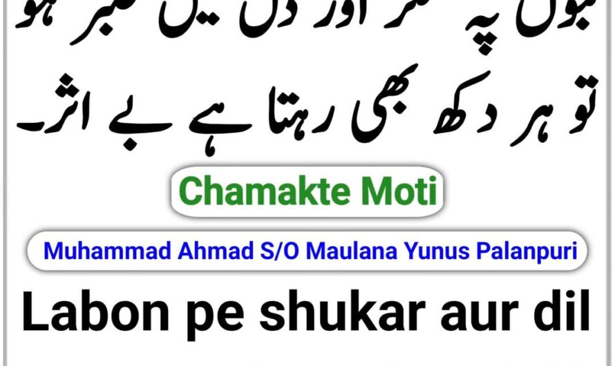 Labon pe shukar aur dil…