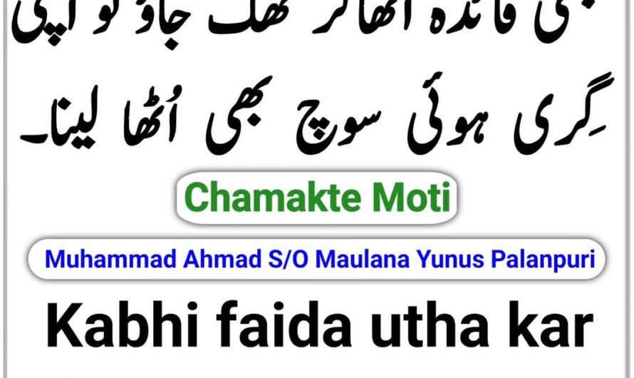 Kabhi faida utha kar…